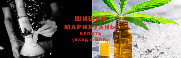 гидропоника Богданович